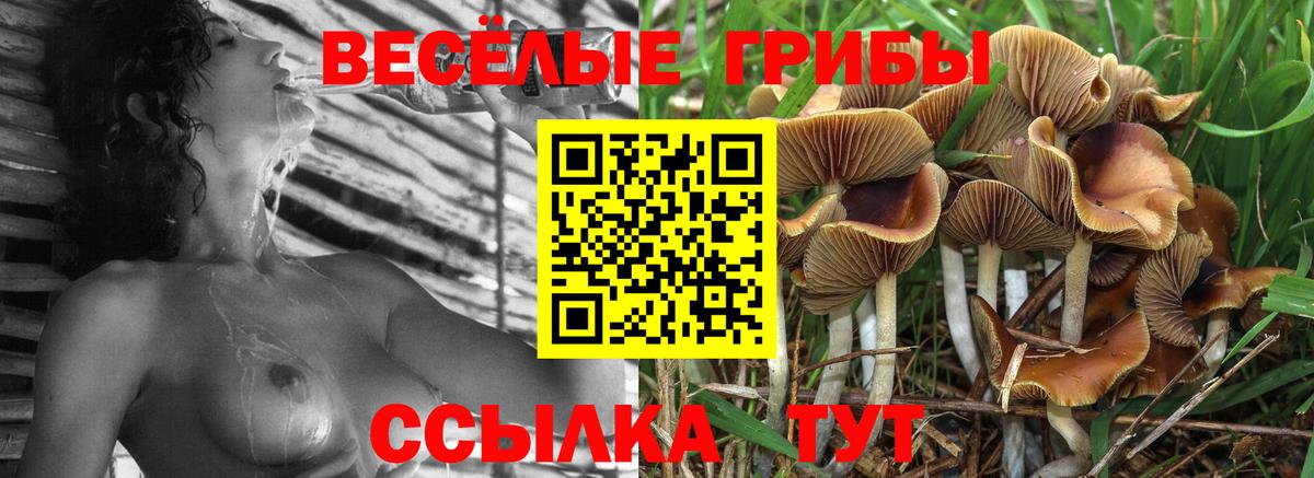 Усть-Илимск  Галлюциногенные грибы MAGIC MUSHROOMS  Вход с VPN 
